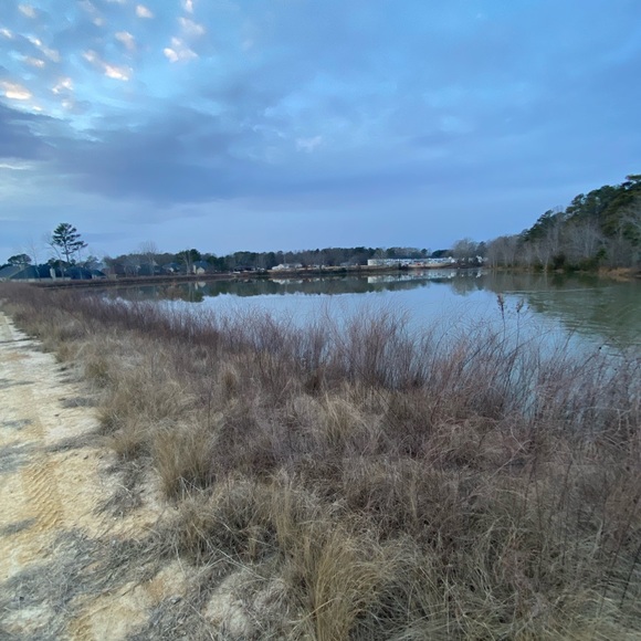 Off White Dunks Lot 20 out of 50 - Picture 10 of 10